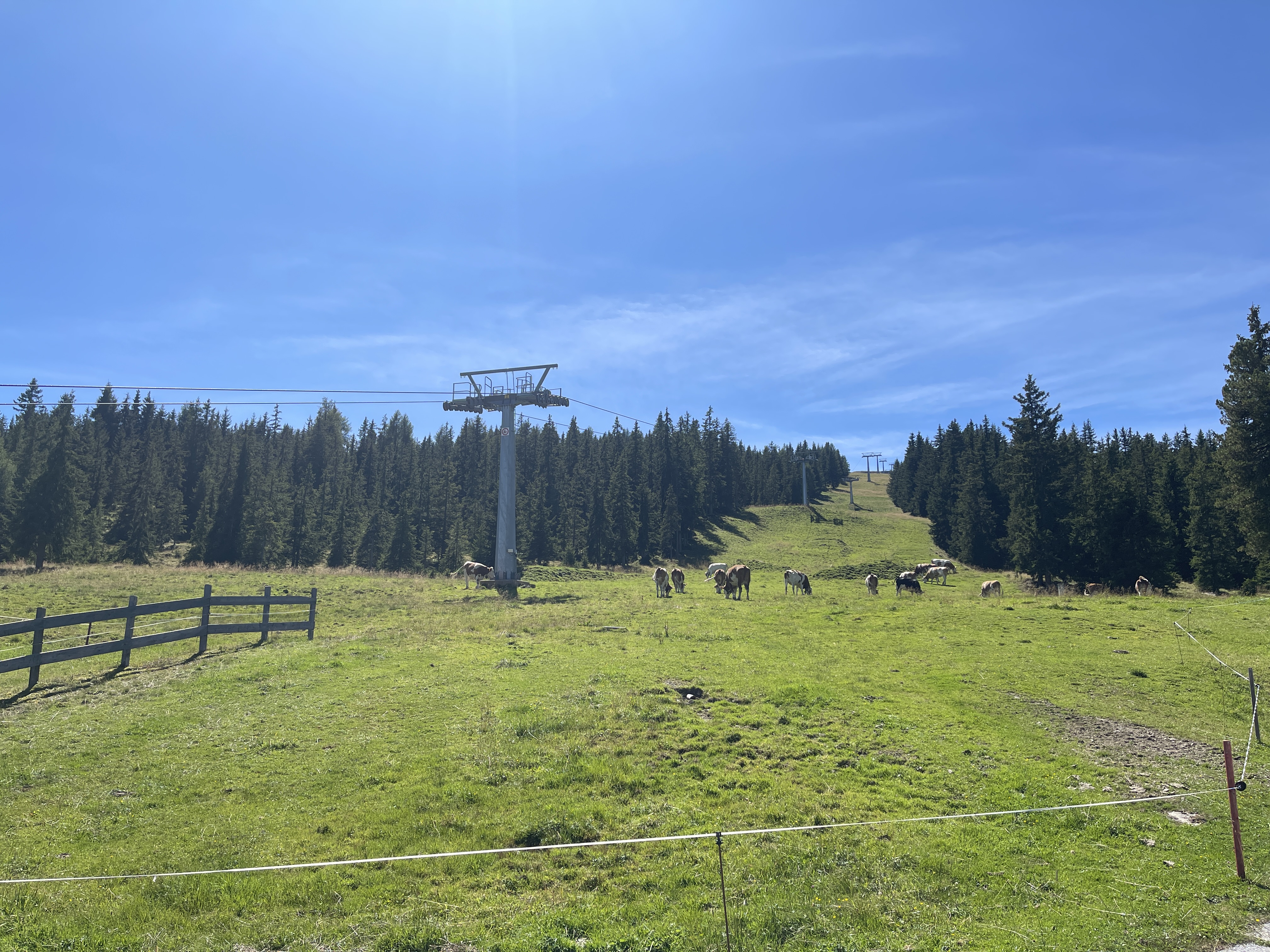 Galeriebild