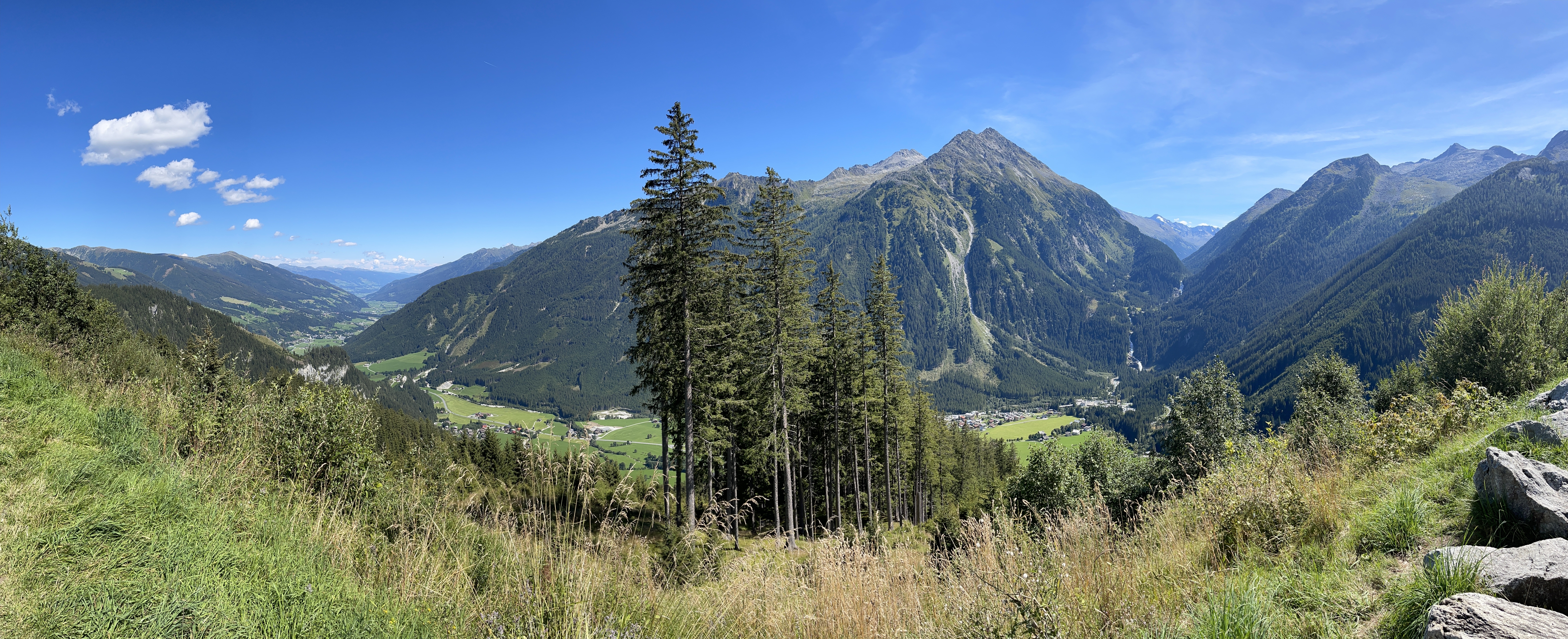 Galeriebild