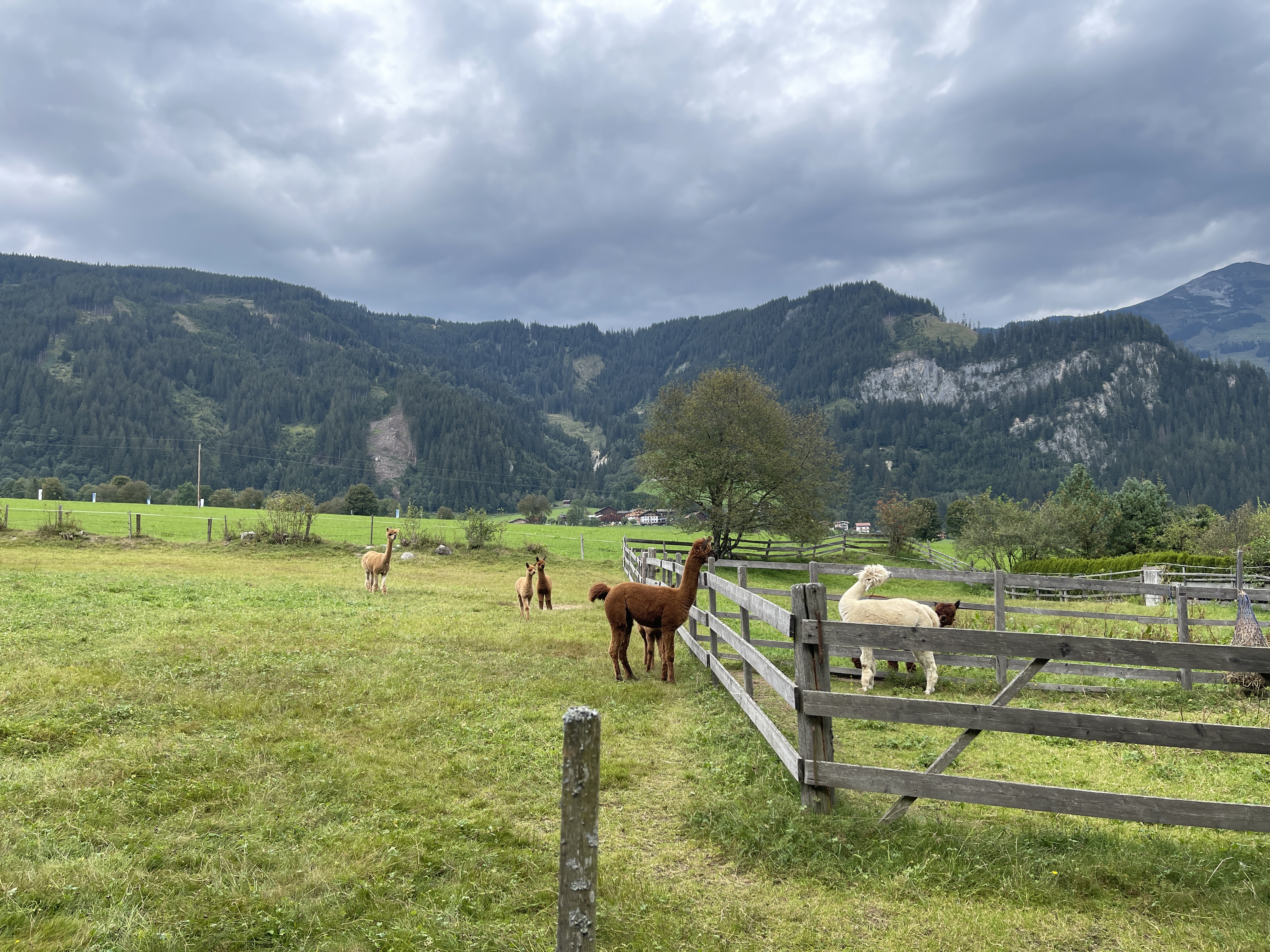 Galeriebild
