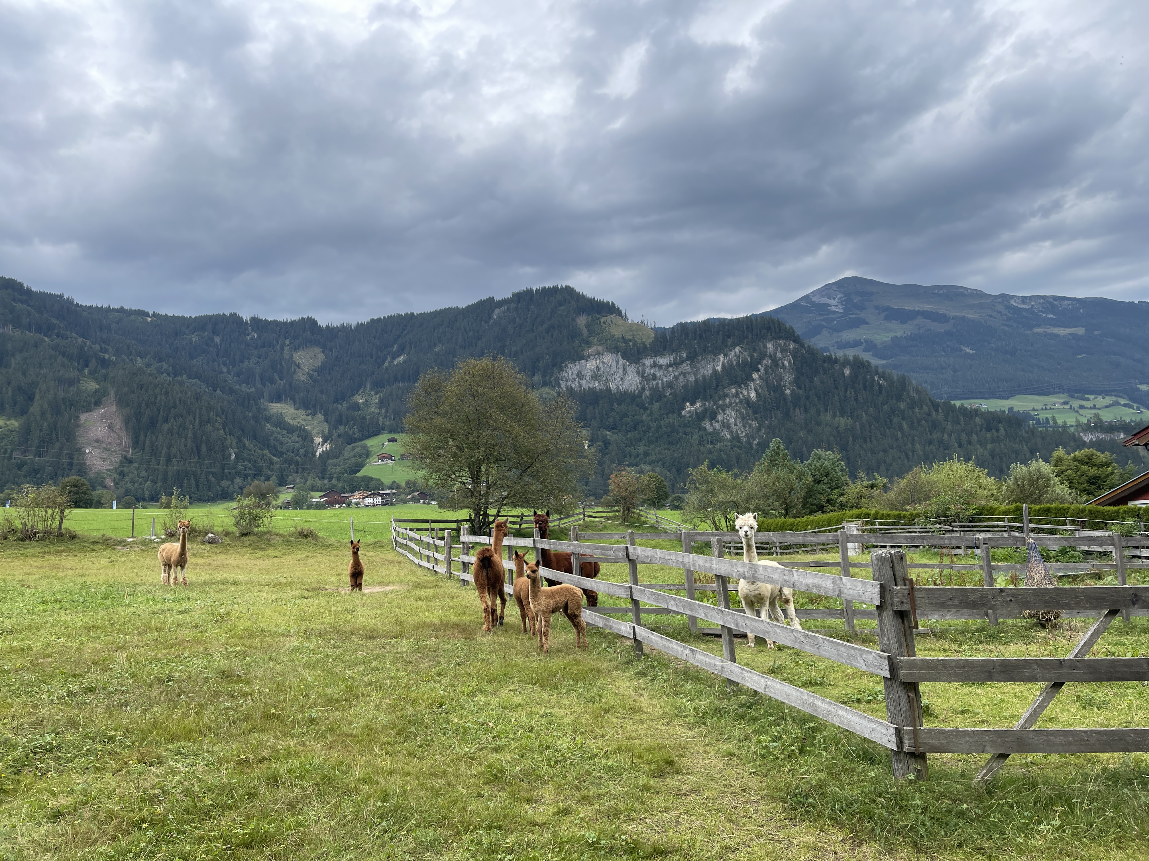 Galeriebild