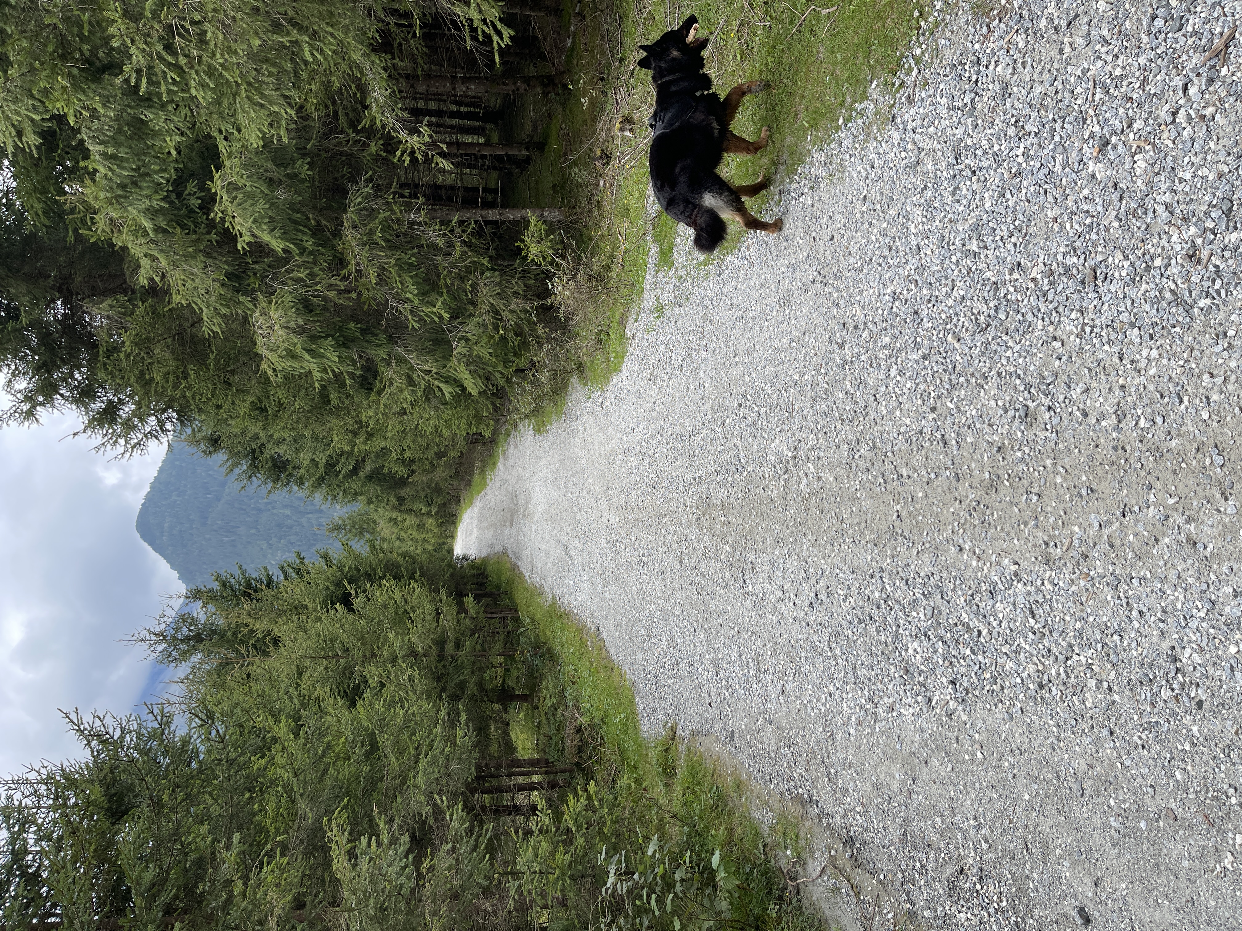 Galeriebild
