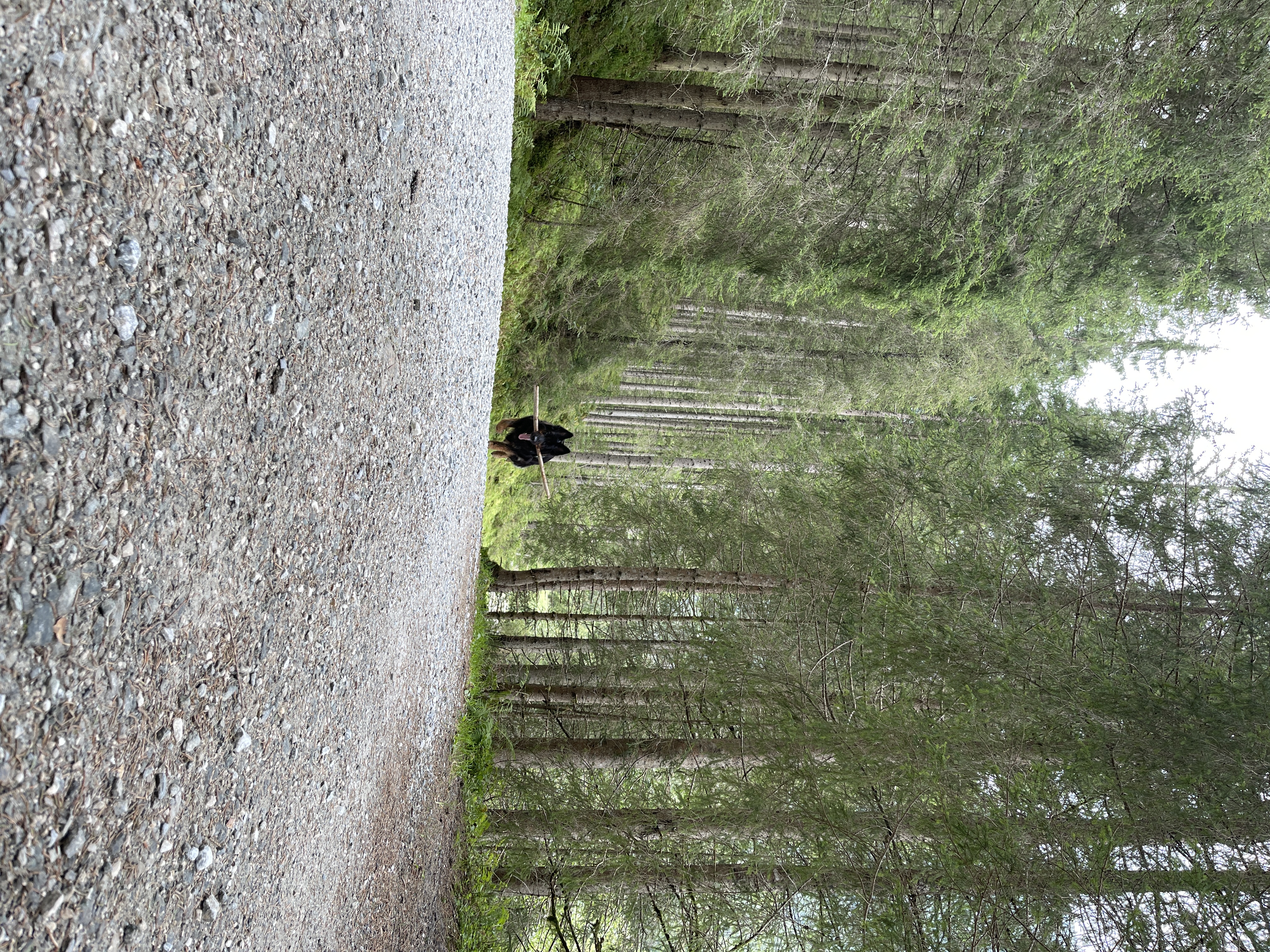 Galeriebild