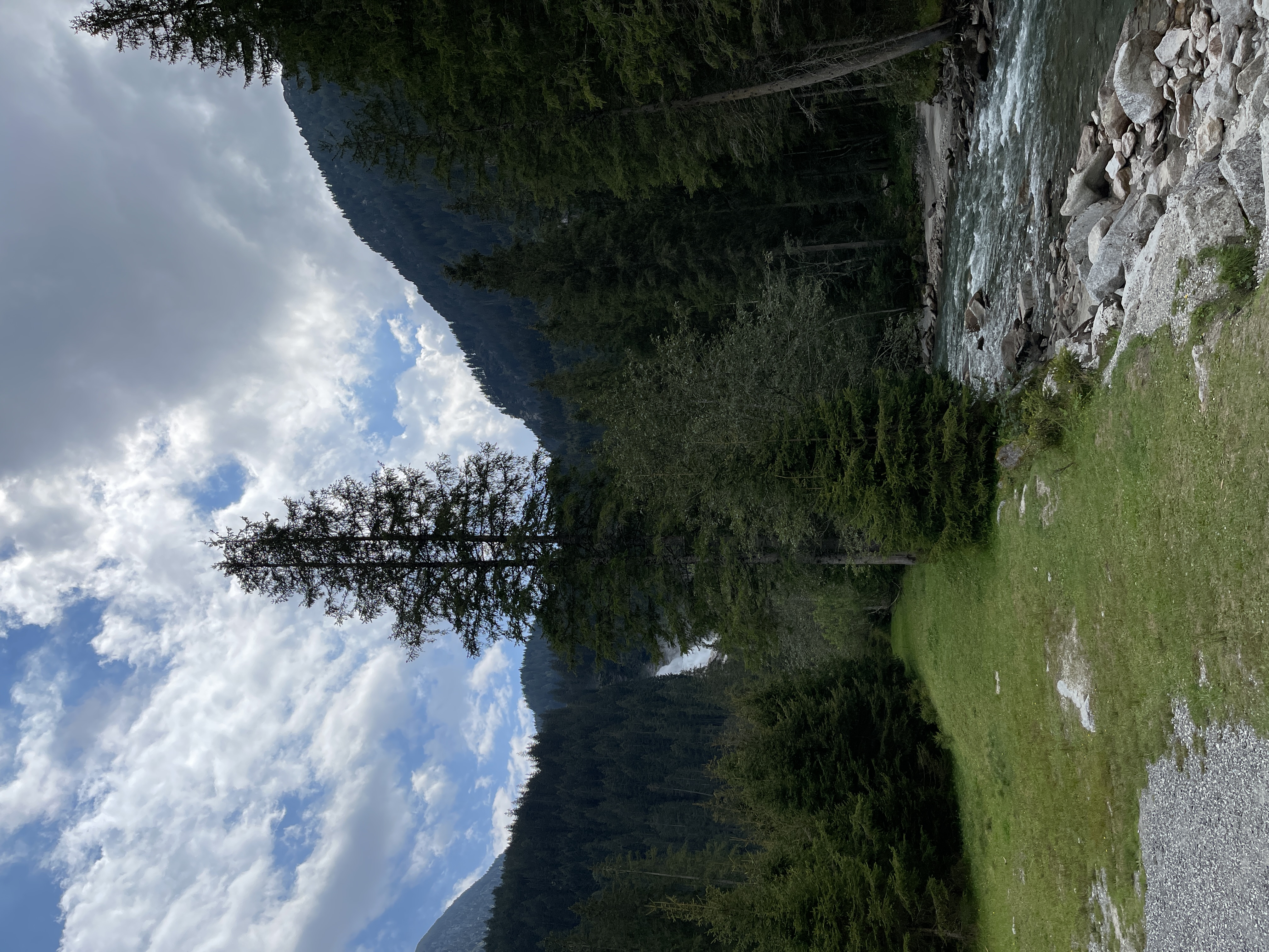 Galeriebild