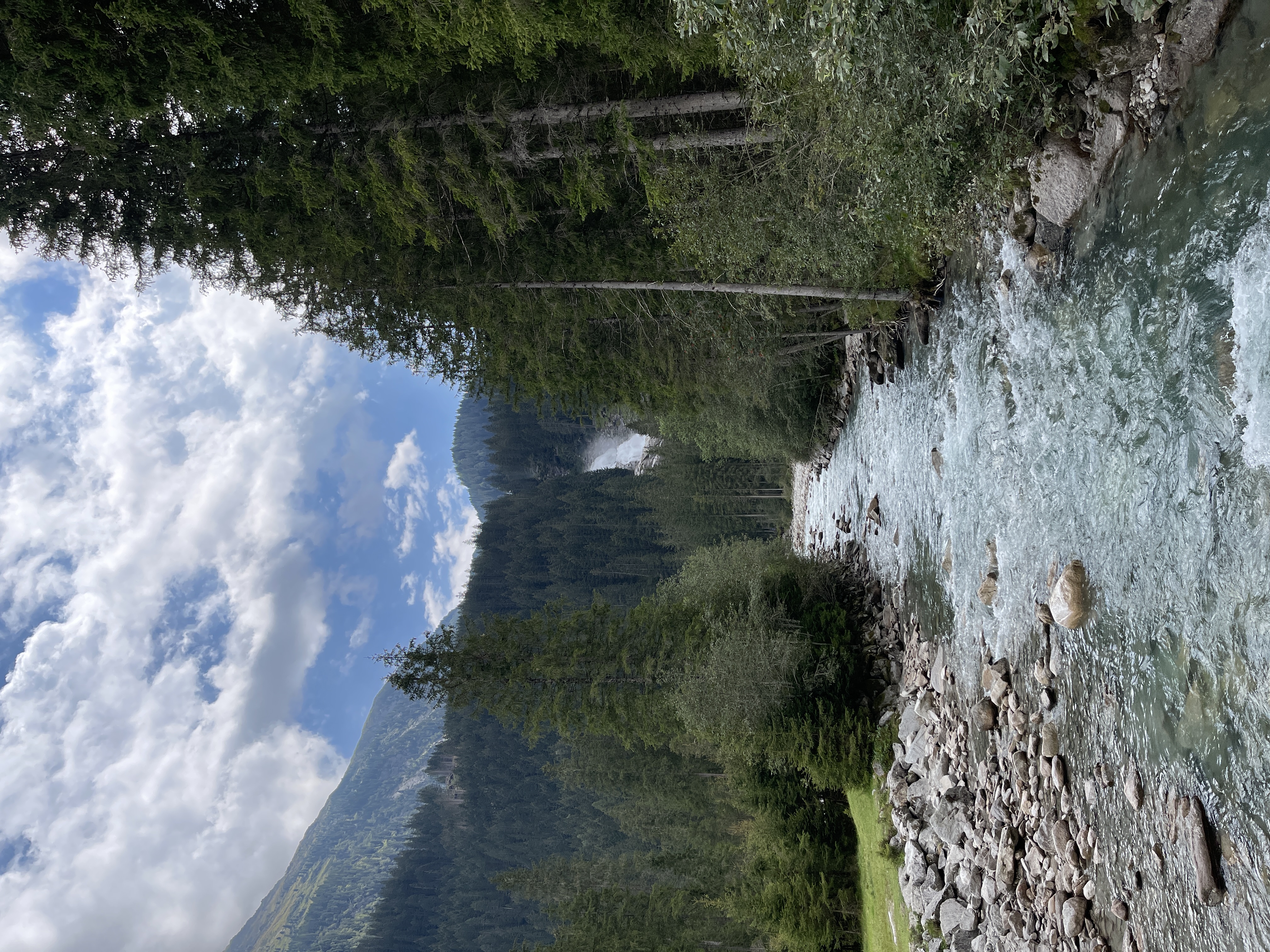 Galeriebild