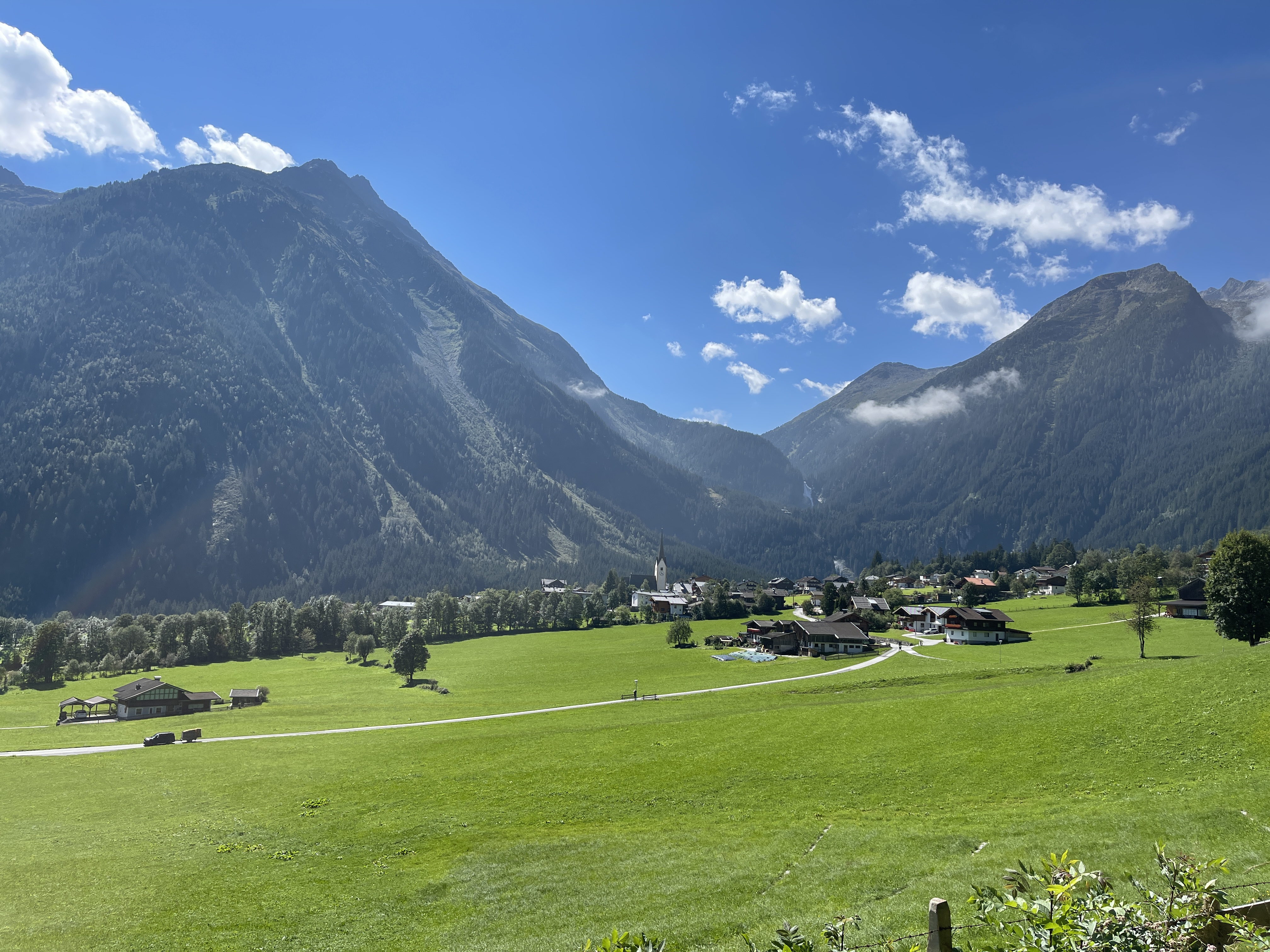 Galeriebild