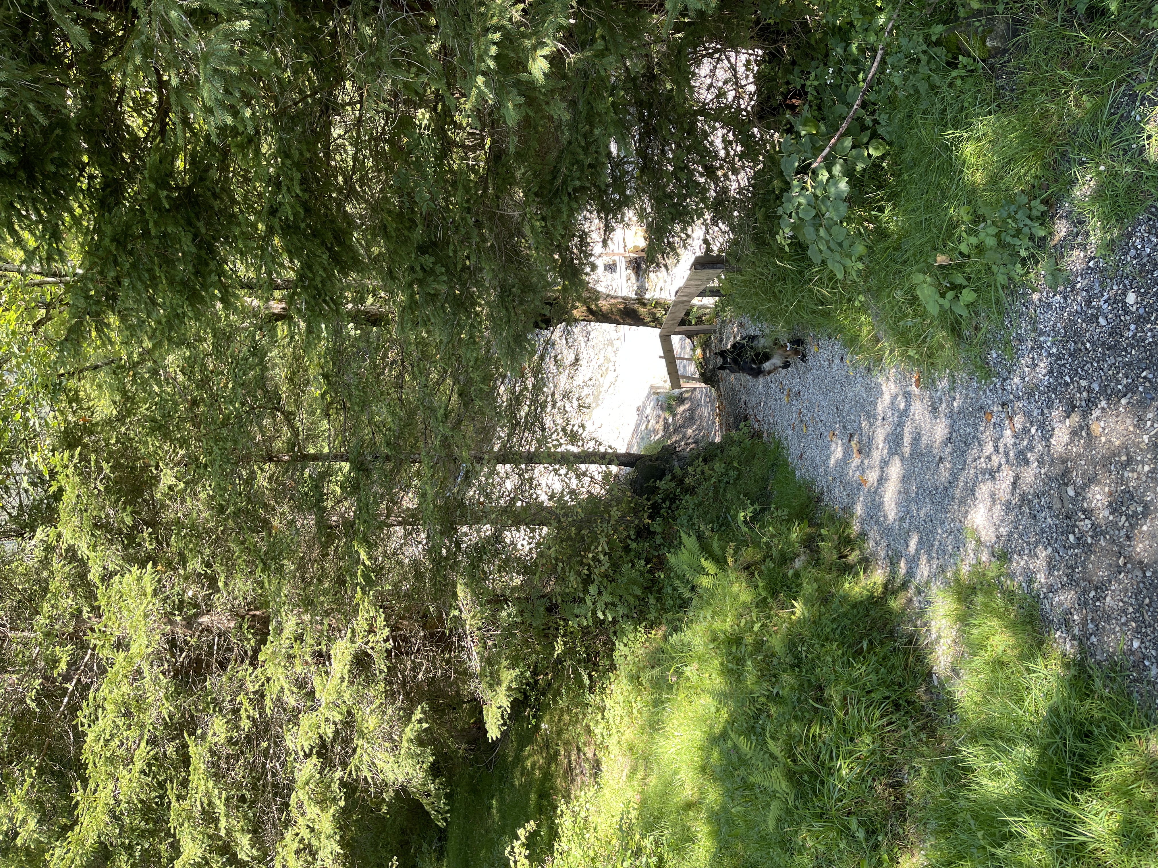 Galeriebild
