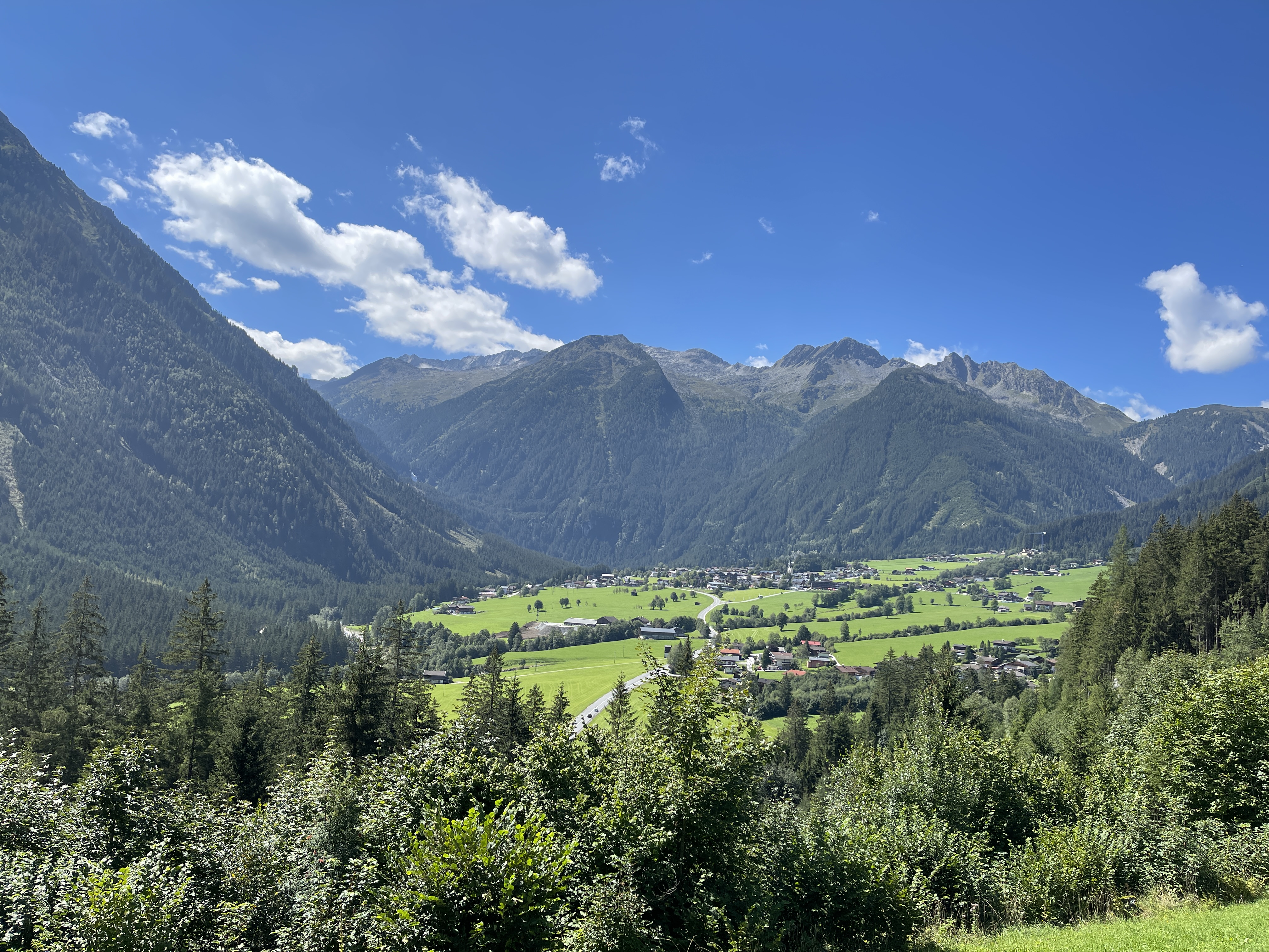 Galeriebild