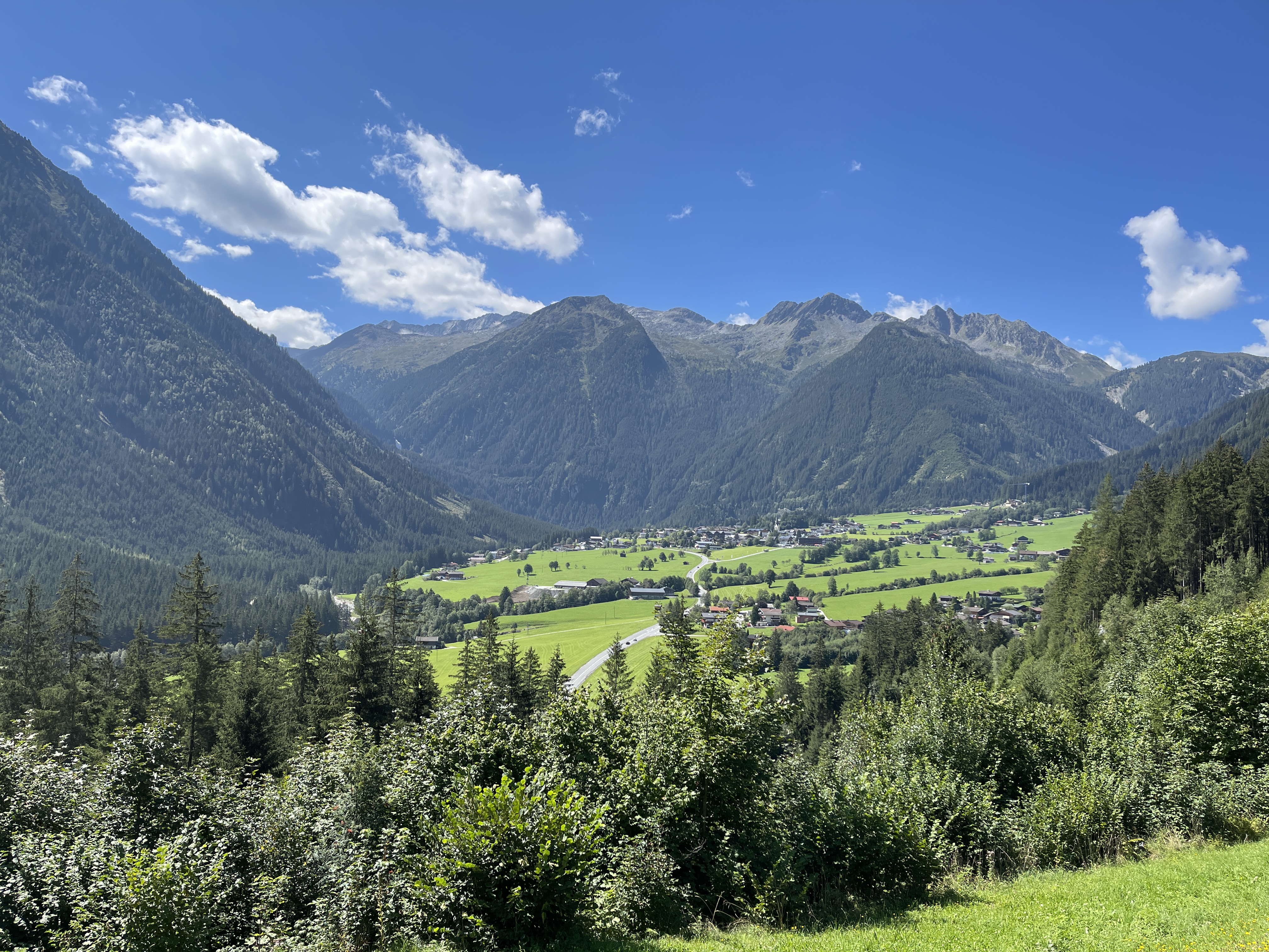 Galeriebild