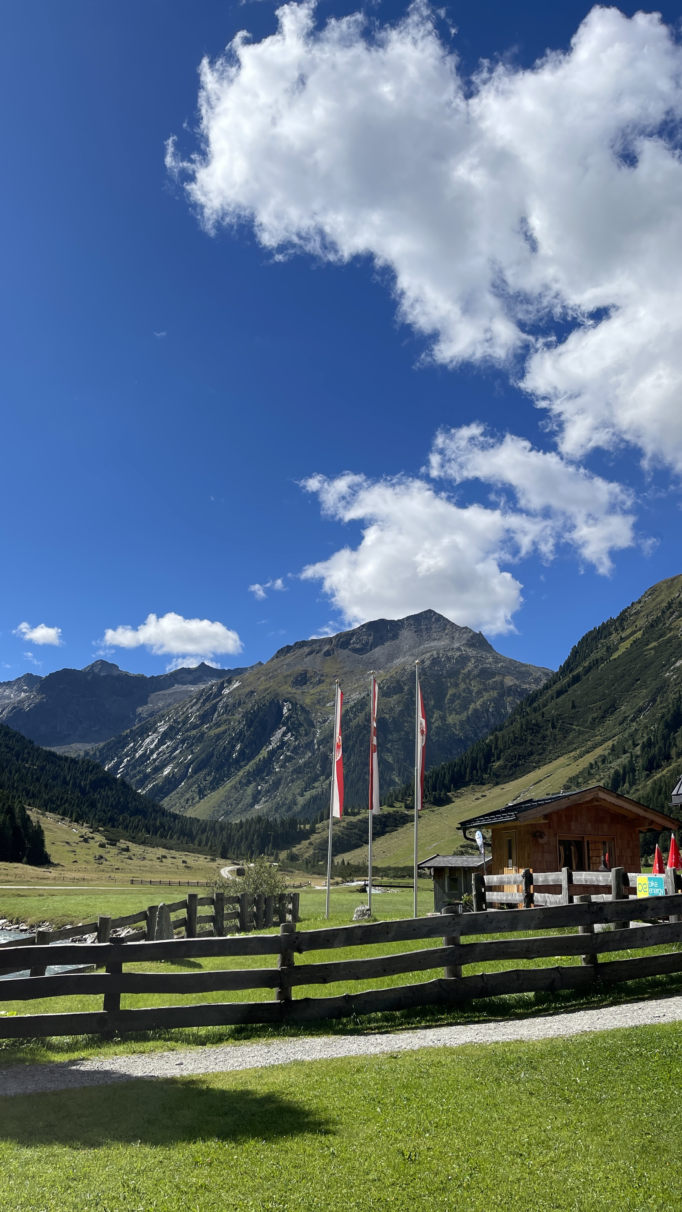 Galeriebild