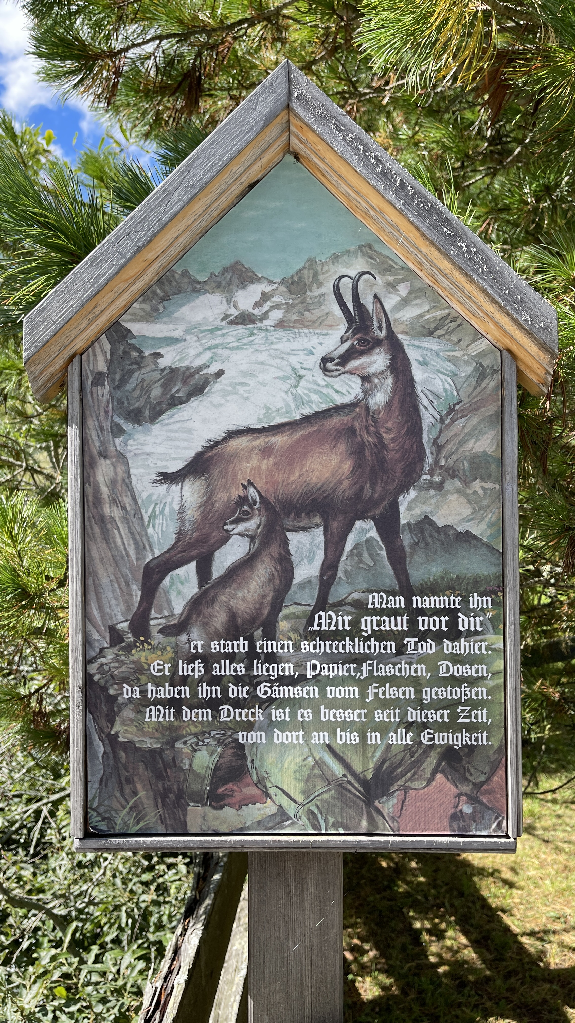 Galeriebild