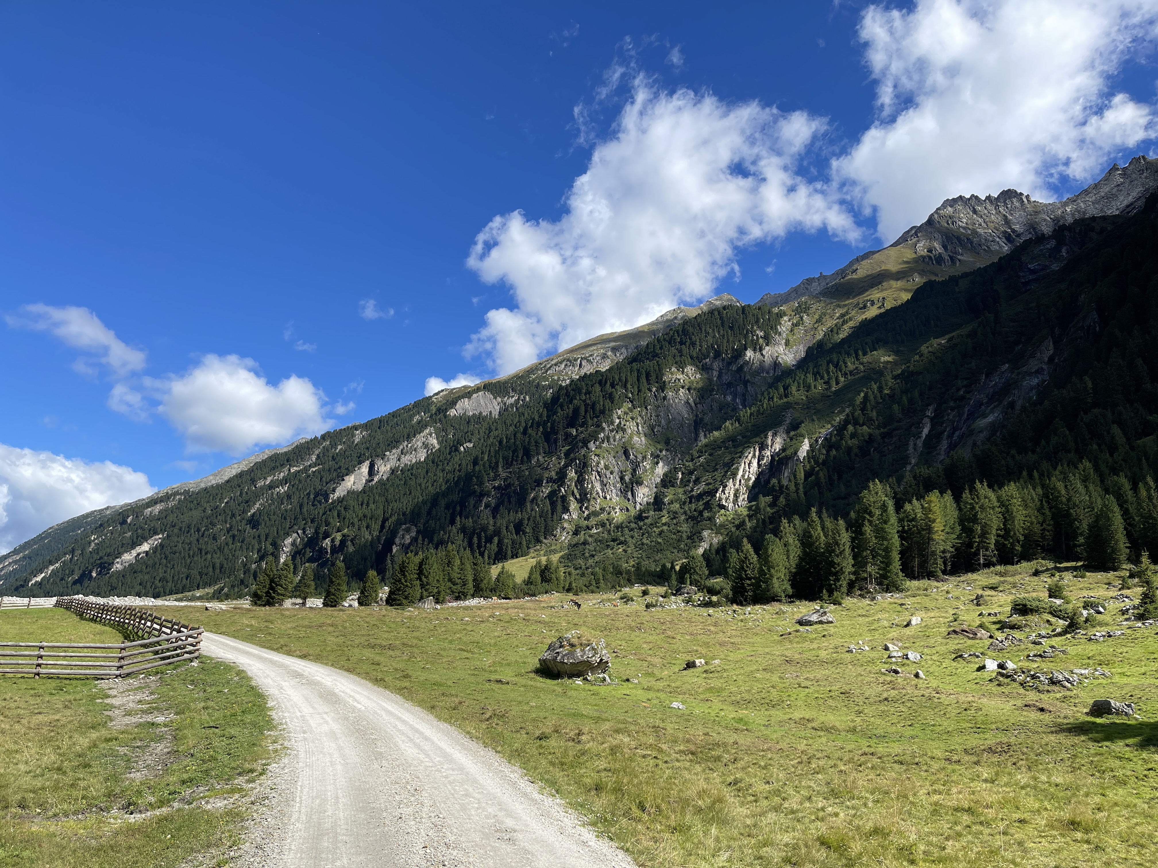 Galeriebild