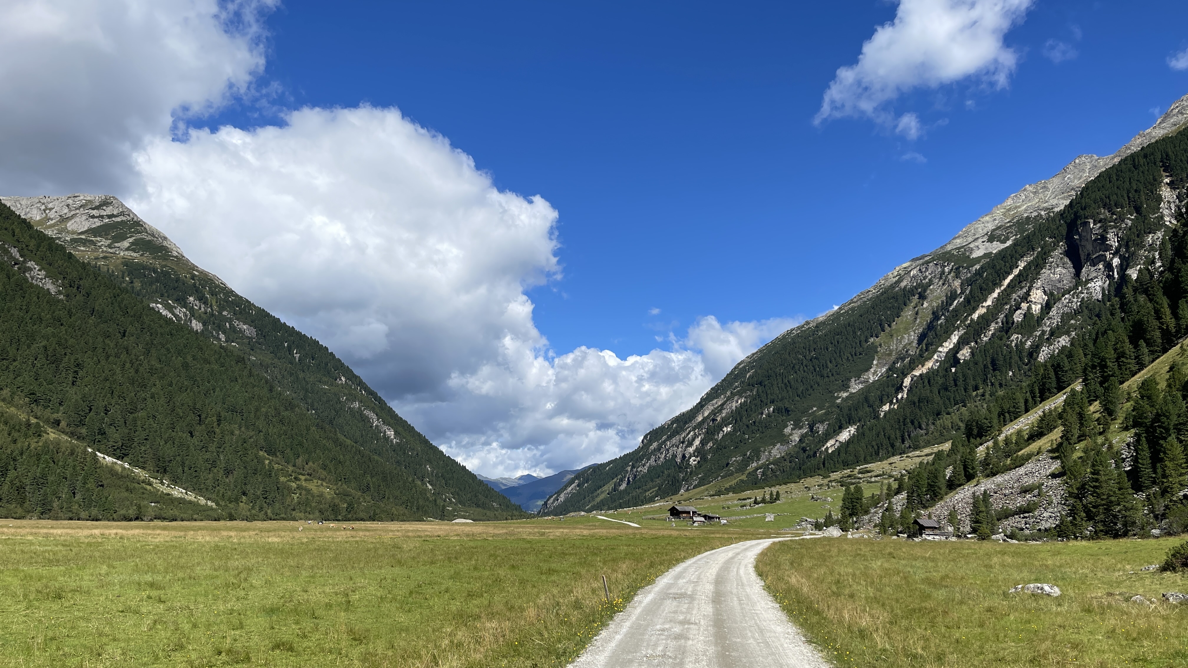 Galeriebild