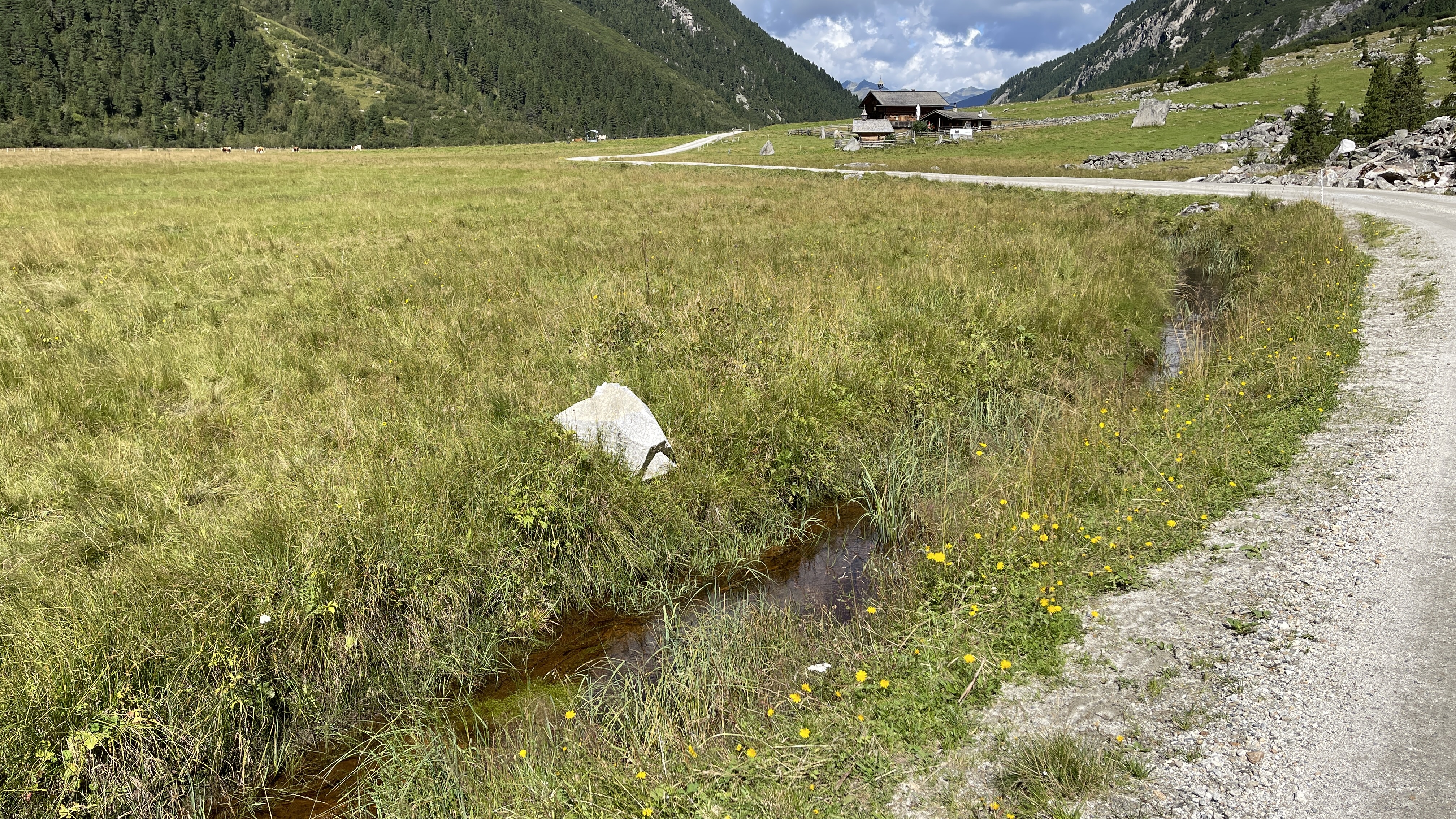 Galeriebild