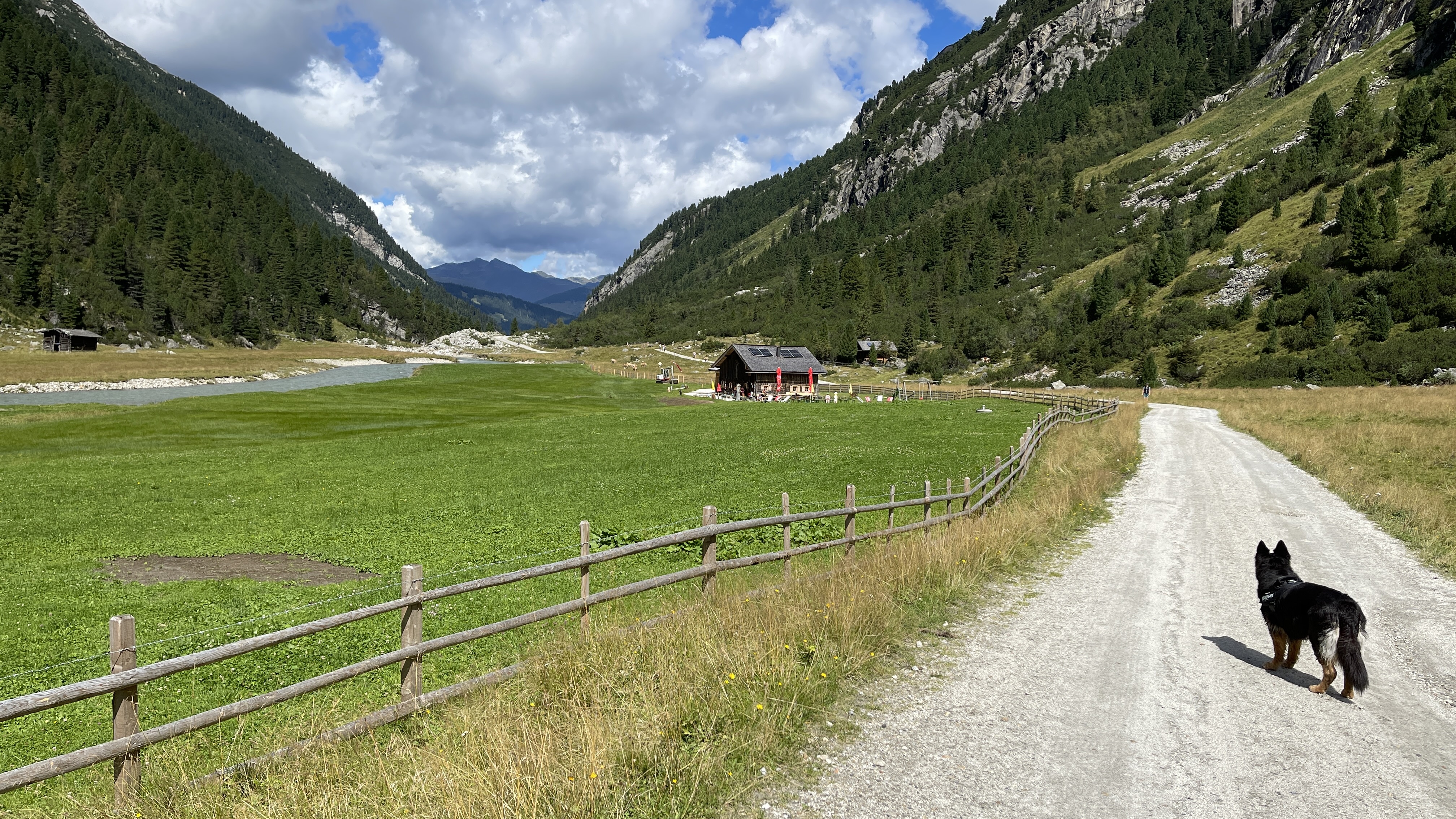 Galeriebild