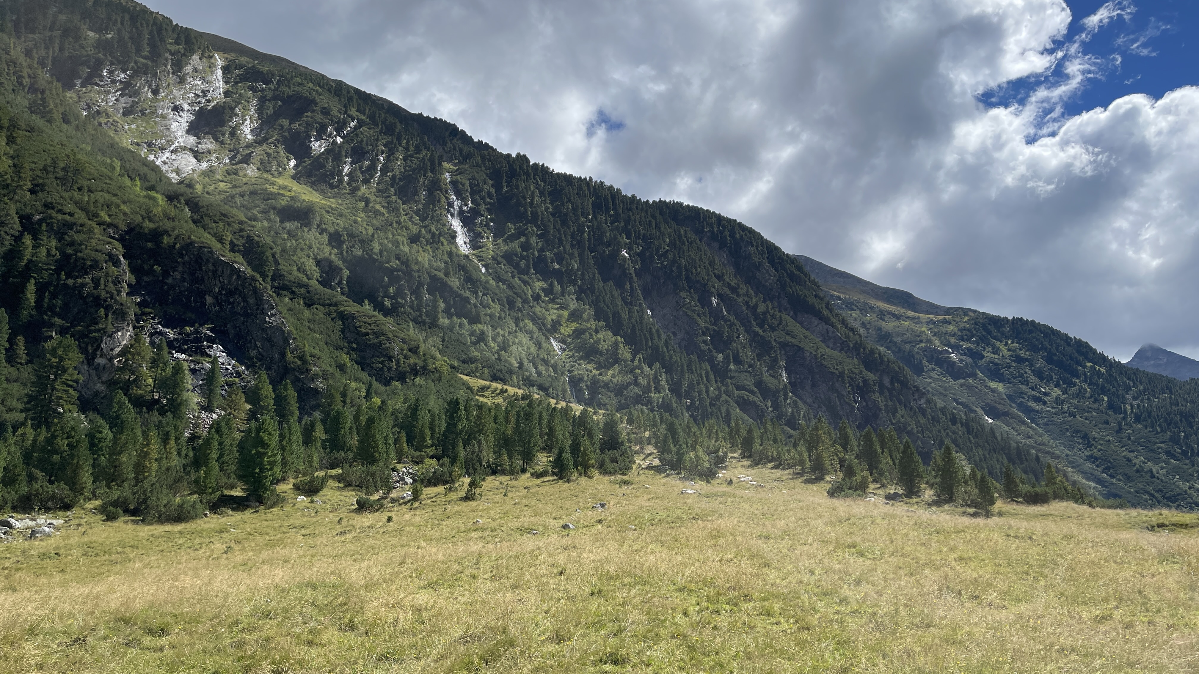 Galeriebild