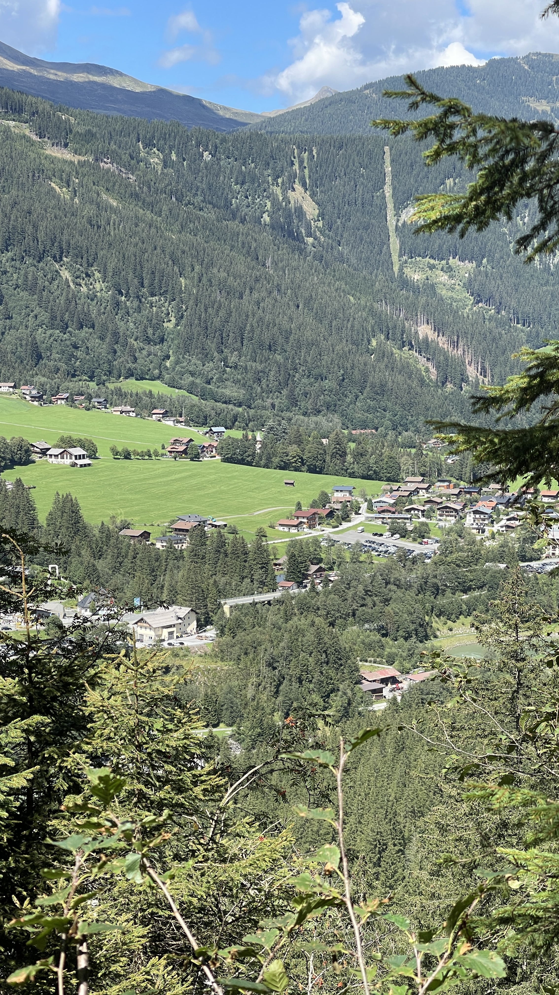 Galeriebild